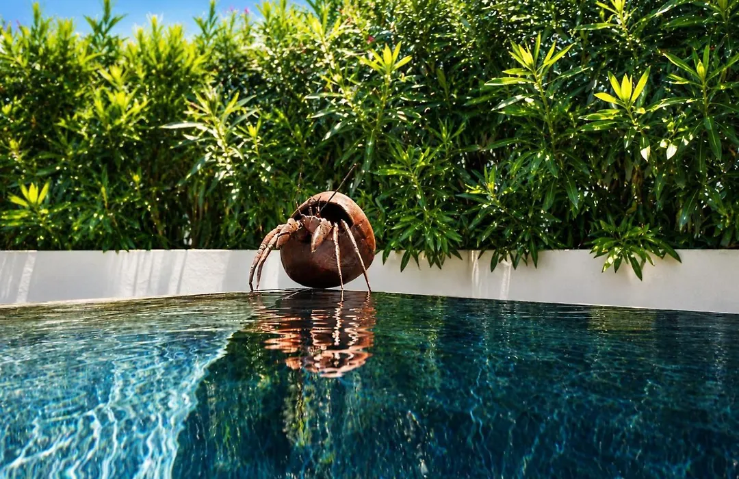 Villa Miami-1